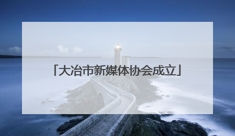 大冶市新媒体协会成立