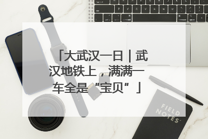 大武汉一日｜武汉地铁上，满满一车全是“宝贝”