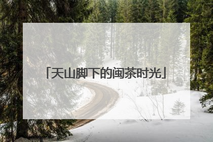 天山脚下的闽茶时光