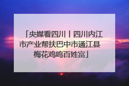 央媒看四川丨四川内江市产业帮扶巴中市通江县 梅花鸡鸣百姓富