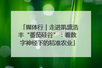 媒体行｜走进凯盛浩丰“番茄硅谷”：看数字神经下的精准农业