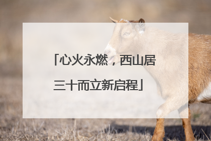 心火永燃，西山居三十而立新启程