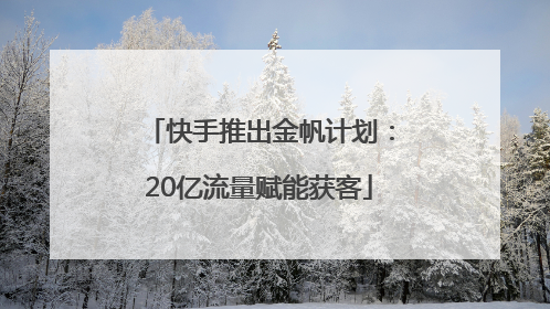 快手推出金帆计划：20亿流量赋能获客