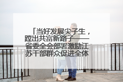 当好发展尖子生，蹚出共富新路子——省委全会部署激励江苏干部群众促进全体人民共同富裕