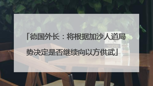 德国外长：将根据加沙人道局势决定是否继续向以方供武