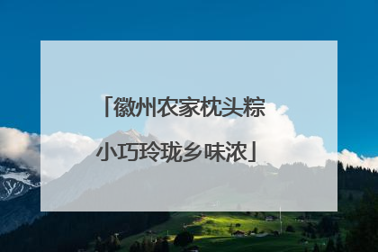 徽州农家枕头粽 小巧玲珑乡味浓