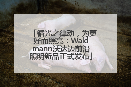 循光之律动，为更好而照亮：Waldmann沃达迈前沿照明新品正式发布