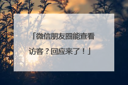 微信朋友圈能查看访客？回应来了！
