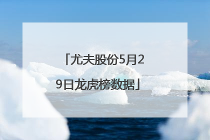 尤夫股份5月29日龙虎榜数据