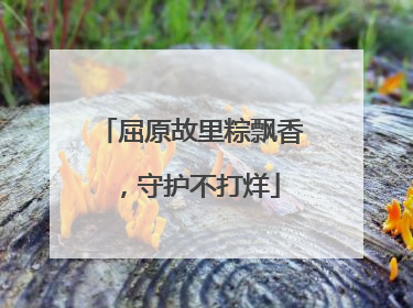 屈原故里粽飘香，守护不打烊