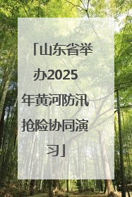 山东省举办2025年黄河防汛抢险协同演习