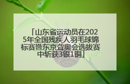 山东省运动员在2025年全国残疾人羽毛球锦标赛暨东京聋奥会选拔赛中斩获3银1铜
