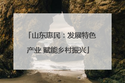 山东惠民：发展特色产业 赋能乡村振兴
