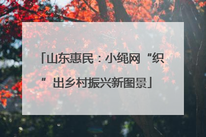 山东惠民：小绳网“织”出乡村振兴新图景