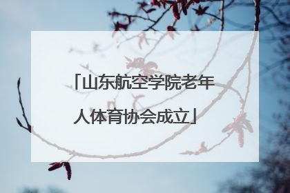 山东航空学院老年人体育协会成立