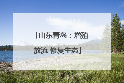 山东青岛：增殖放流 修复生态