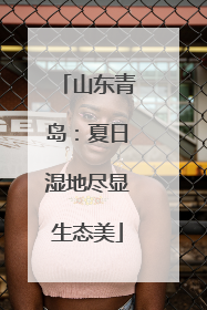 山东青岛：夏日湿地尽显生态美