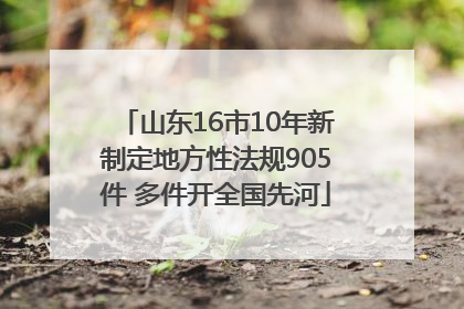 山东16市10年新制定地方性法规905件 多件开全国先河