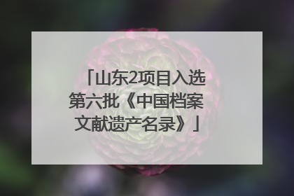 山东2项目入选第六批《中国档案文献遗产名录》