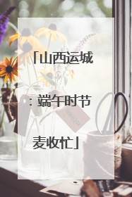 山西运城：端午时节麦收忙