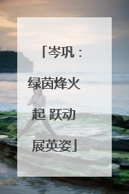 岑巩：绿茵烽火起 跃动展英姿