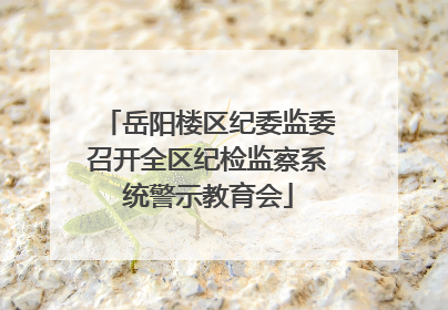 岳阳楼区纪委监委召开全区纪检监察系统警示教育会