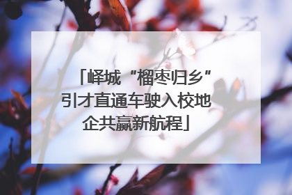 峄城“榴枣归乡”引才直通车驶入校地企共赢新航程