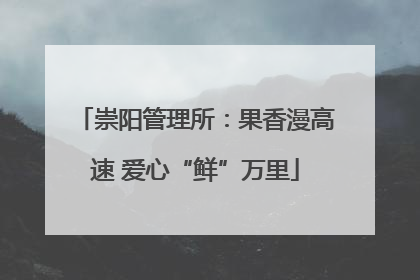 崇阳管理所:果香漫高速 爱心“鲜”万里