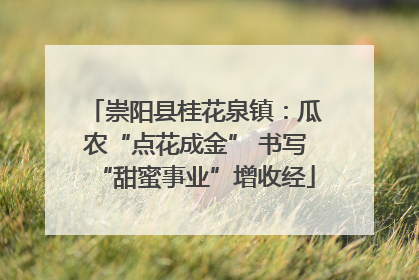 崇阳县桂花泉镇：瓜农“点花成金” 书写“甜蜜事业”增收经