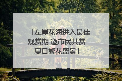 左岸花海进入最佳观赏期 邀市民共赏夏日繁花盛景