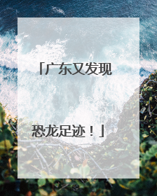 广东又发现恐龙足迹！
