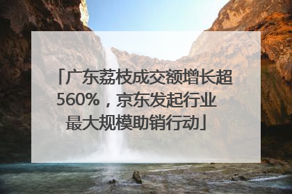 广东荔枝成交额增长超560%，京东发起行业最大规模助销行动