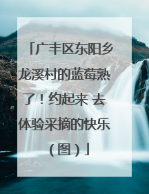 广丰区东阳乡龙溪村的蓝莓熟了！约起来 去体验采摘的快乐（图）