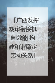 广西发挥裁审衔接机制效能 构建和谐稳定劳动关系