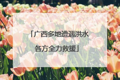 广西多地遭遇洪水 各方全力救援