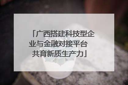 广西搭建科技型企业与金融对接平台 共育新质生产力