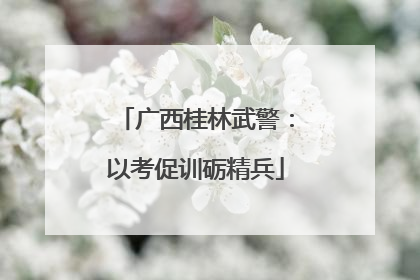 广西桂林武警：以考促训砺精兵