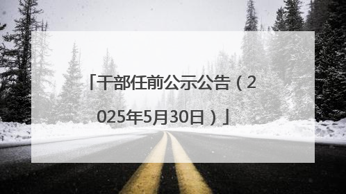 干部任前公示公告（2025年5月30日）