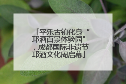 平乐古镇化身“邛酒百景体验园”，成都国际非遗节邛酒文化周启幕