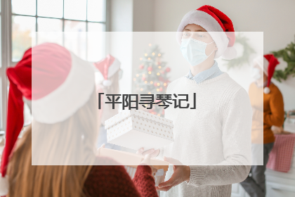 平阳寻琴记