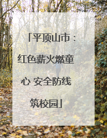 平顶山市：红色薪火燃童心 安全防线筑校园