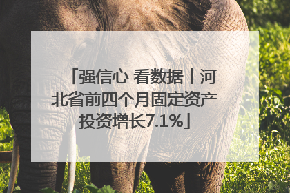 强信心 看数据丨河北省前四个月固定资产投资增长7.1%