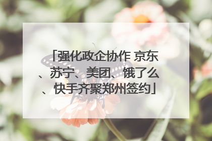 强化政企协作 京东、苏宁、美团、饿了么、快手齐聚郑州签约