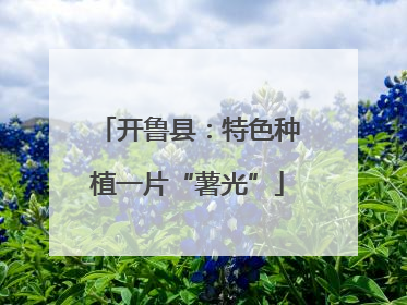 开鲁县：特色种植一片“薯光”