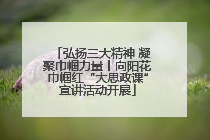 弘扬三大精神 凝聚巾帼力量丨向阳花巾帼红“大思政课”宣讲活动开展