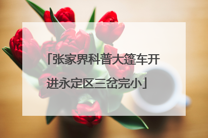 张家界科普大篷车开进永定区三岔完小