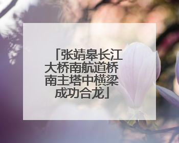 张靖皋长江大桥南航道桥南主塔中横梁成功合龙