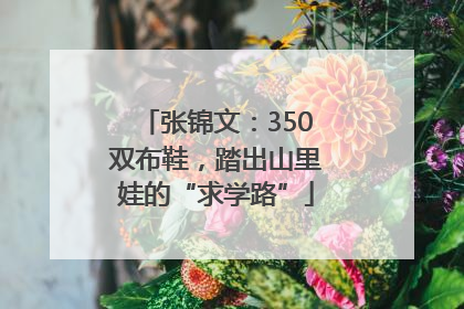 张锦文：350双布鞋，踏出山里娃的“求学路”