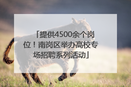 提供4500余个岗位！南岗区举办高校专场招聘系列活动