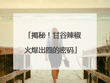 揭秘！甘谷辣椒火爆出圈的密码